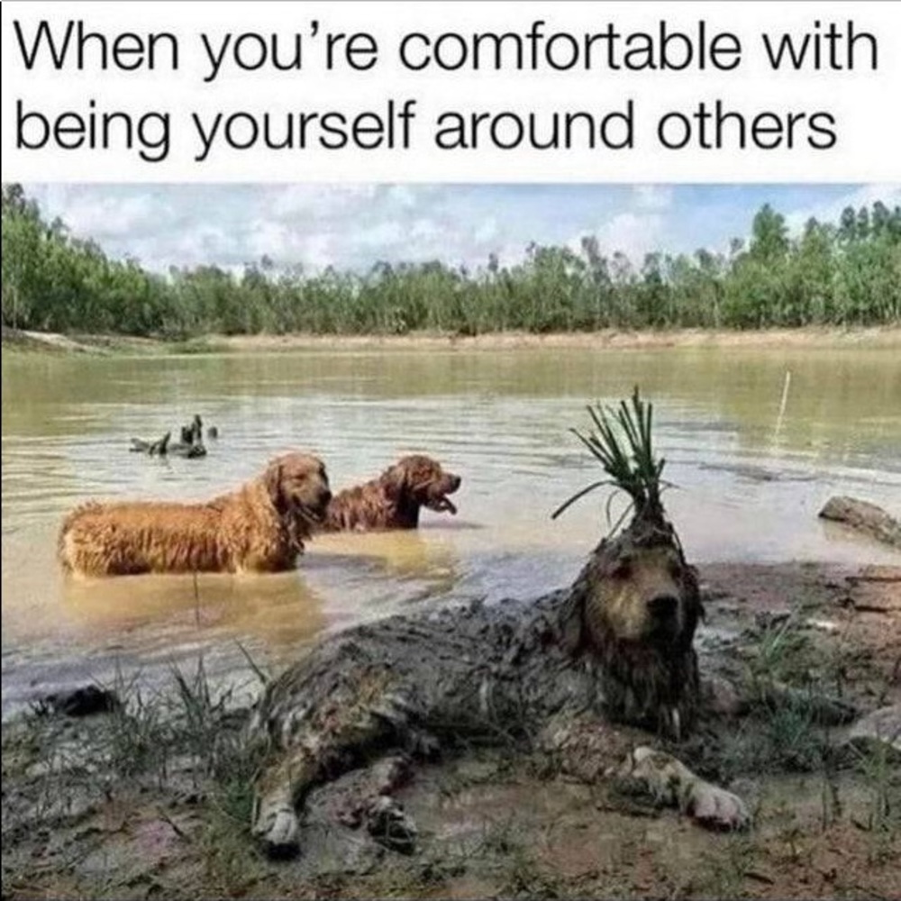 GAME CLOSED PLS LIKE NEW LISTING⬅️TY!😃 - Picture 2 of 16